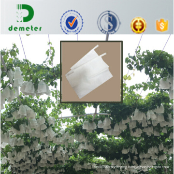 Shandong Factory High Quality UV Protection Breathability Water-Proof Paper Bag for Fruit Grapefruit to Prevent Pesticides Pollution